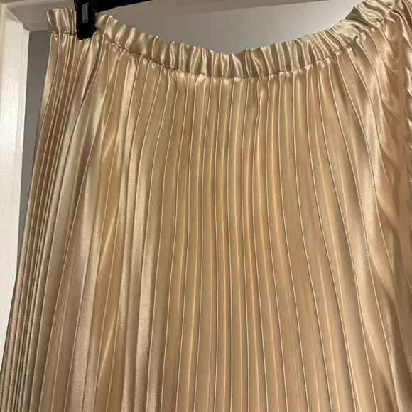 ANNE KLEIN PULL-ON PLEATED A-LINE SKIRT, SIZE 2X.NWT - Picture 6 of 6